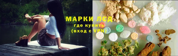 ГАЛЛЮЦИНОГЕННЫЕ ГРИБЫ Заволжье