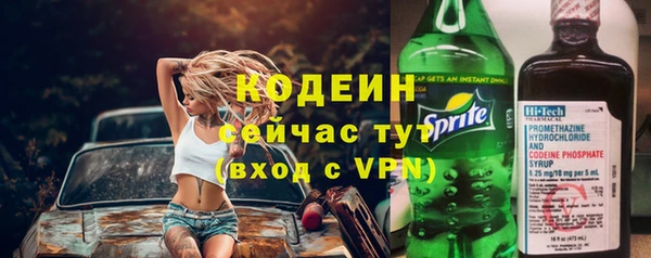 ГАЛЛЮЦИНОГЕННЫЕ ГРИБЫ Заволжье