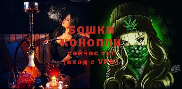 ГАЛЛЮЦИНОГЕННЫЕ ГРИБЫ Заволжье