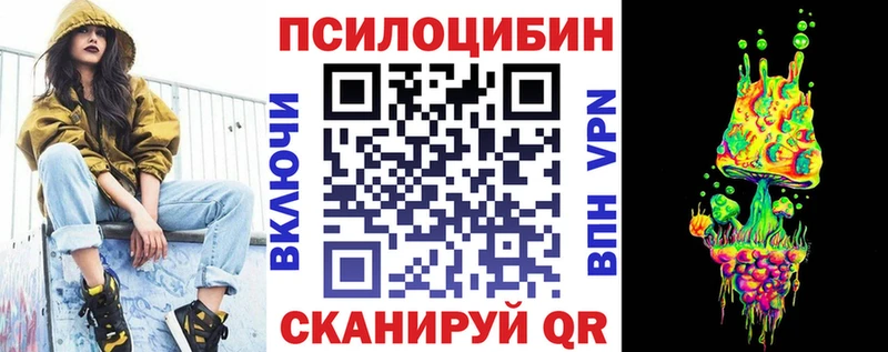 Купить где  Отрадное  Галлюциногенные грибы Psilocybe 